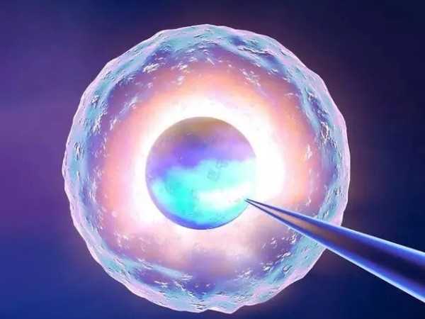 用冷冻精子跟鲜精子培育出的胚胎有什么质量上的差距？